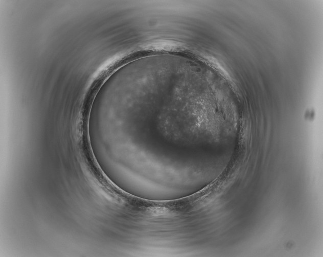 X0000093620392200710291230