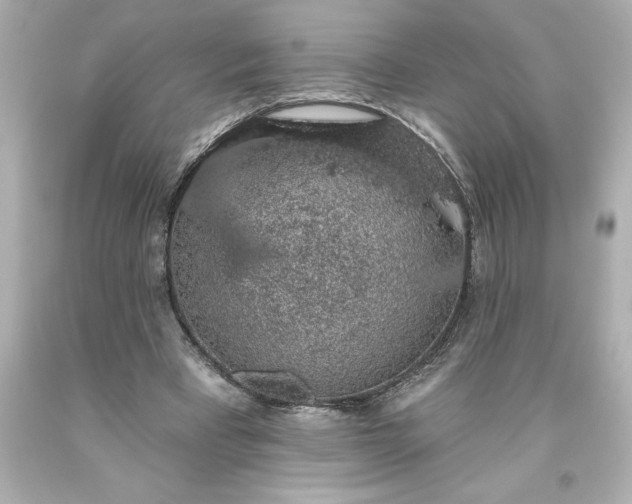 X0000093620393200710291230