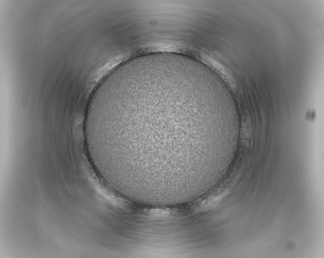 X0000093620394200710291230