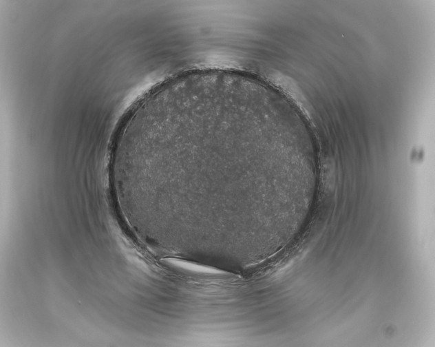 X0000093620395200710291230