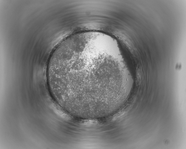 X0000093620398200710291230