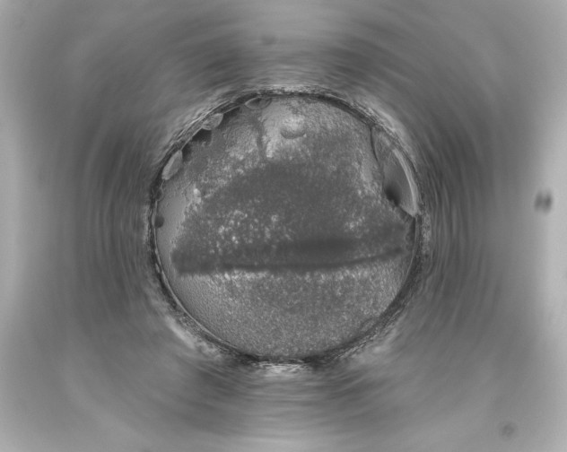 X0000093620401200710291230