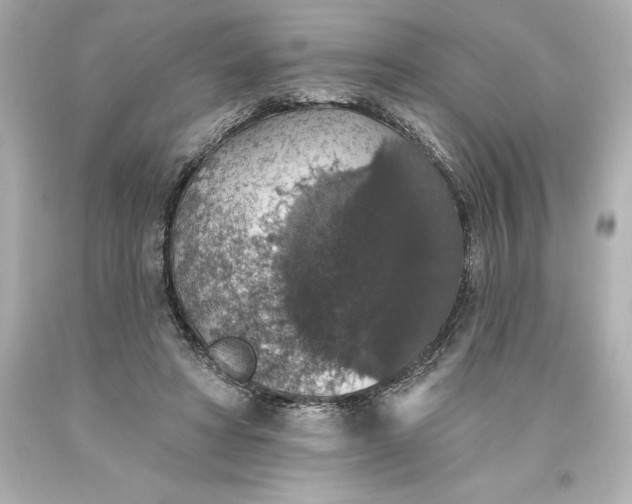 X0000093620402200710291230
