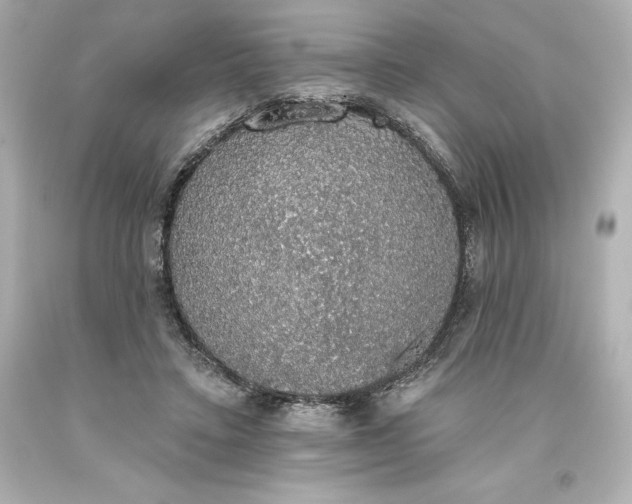 X0000093620403200710291230