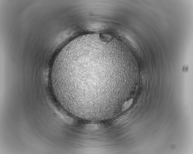 X0000093620404200710291230