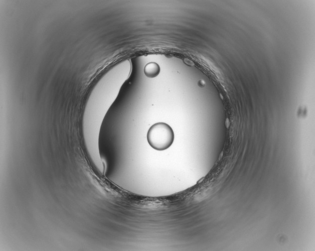 X0000093620405200710291230