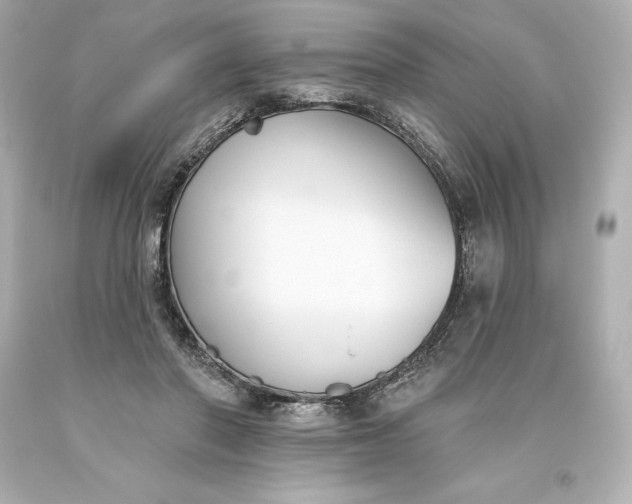 X0000093620406200710291230