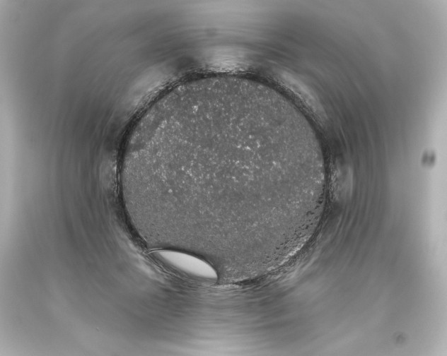 X0000093620407200710291230