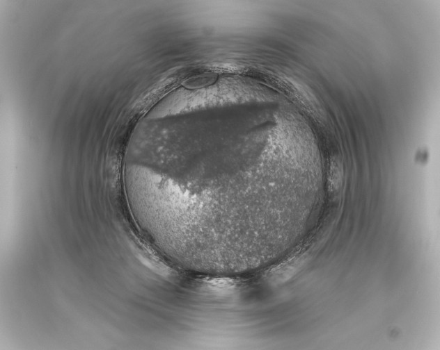 X0000093620409200710291230