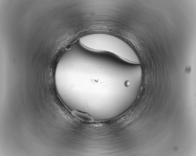 X0000093620411200710291230