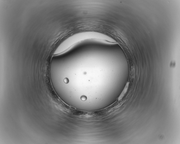 X0000093620412200710291230