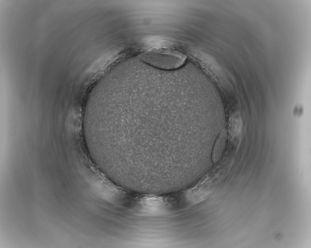 X0000093620413200710291230