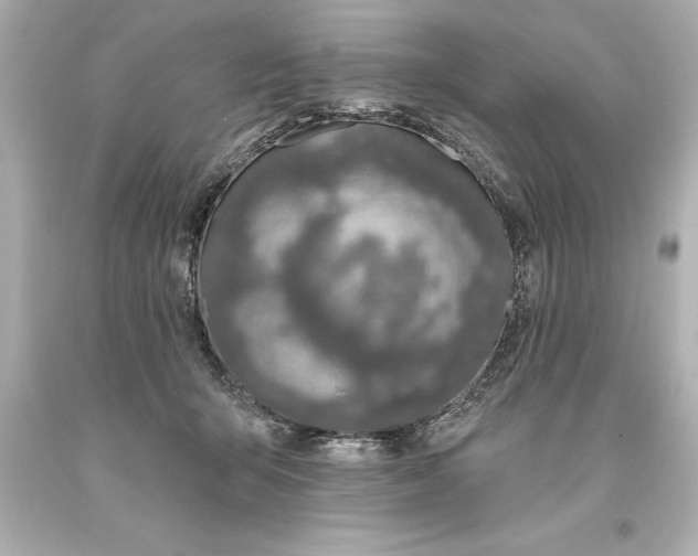 X0000093620415200710291230