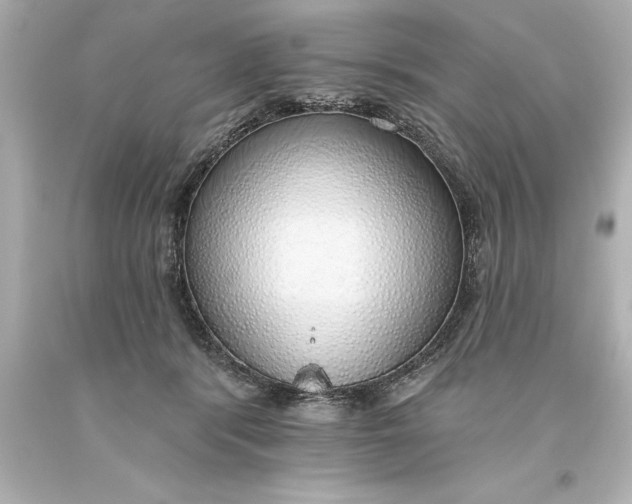 X0000093620416200710291230