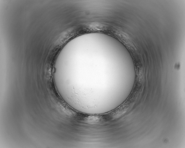 X0000093620418200710291230