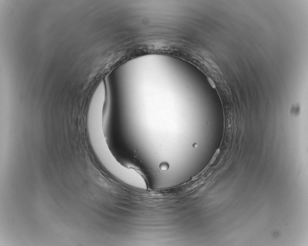 X0000093620419200710291230