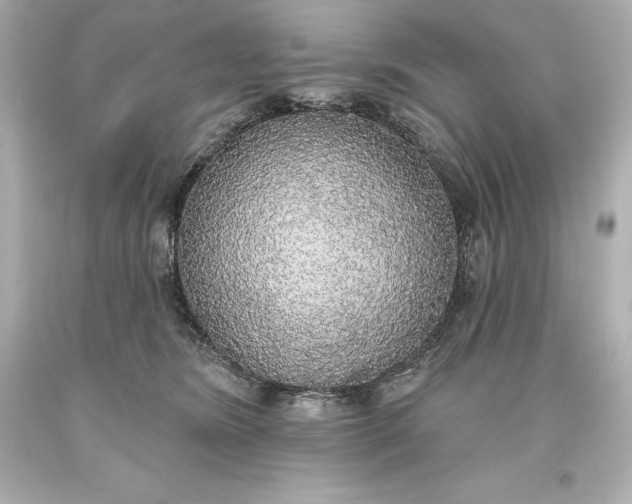 X0000093620420200710291230