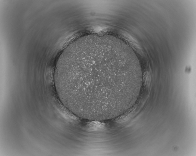 X0000093620421200710291230