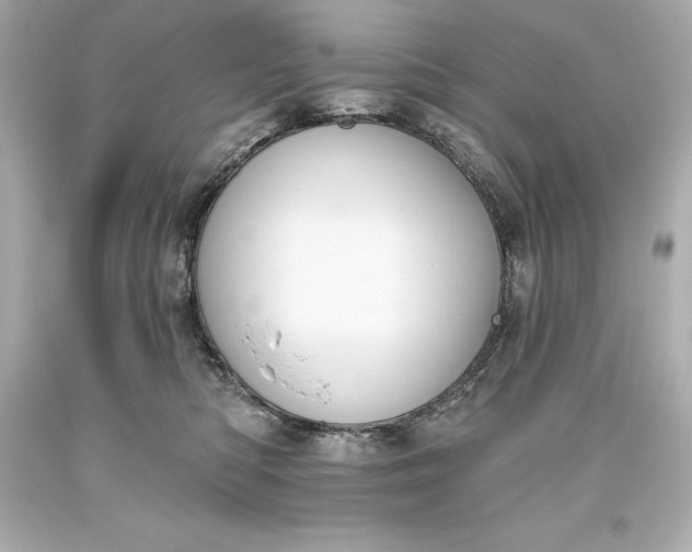 X0000093620422200710291230