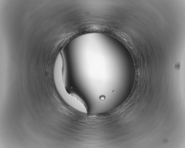 X0000093620423200710291230