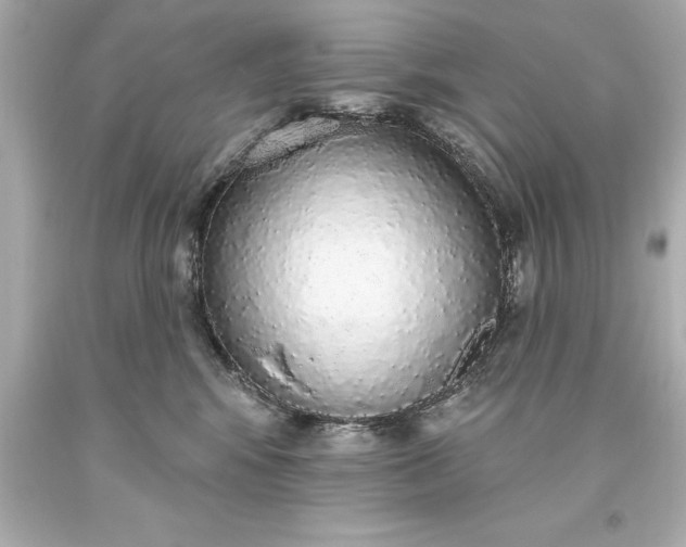 X0000093620424200710291230