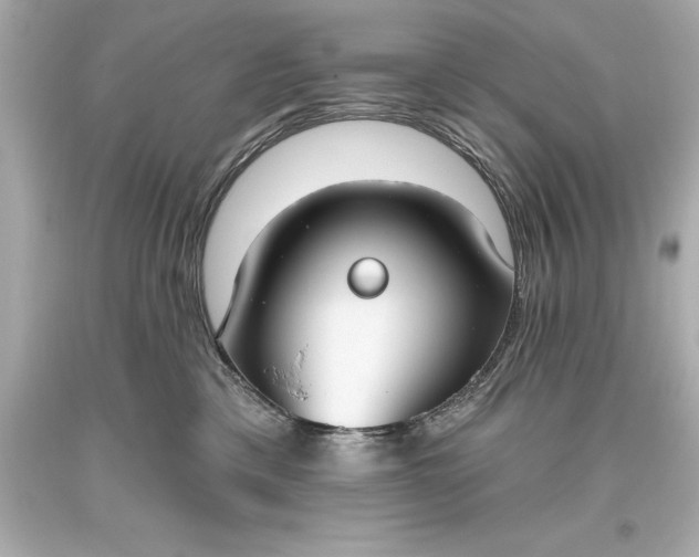 X0000093620425200710291230