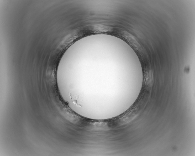 X0000093620426200710291230