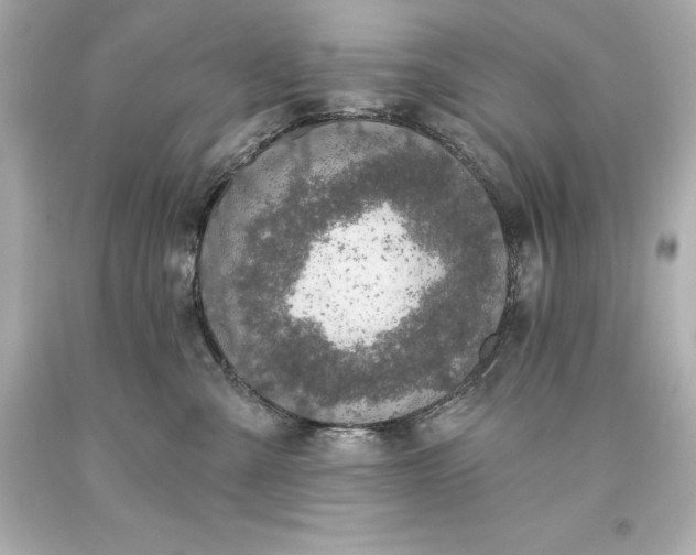 X0000093620427200710291230