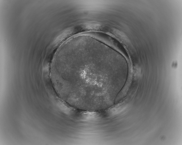 X0000093620428200710291230
