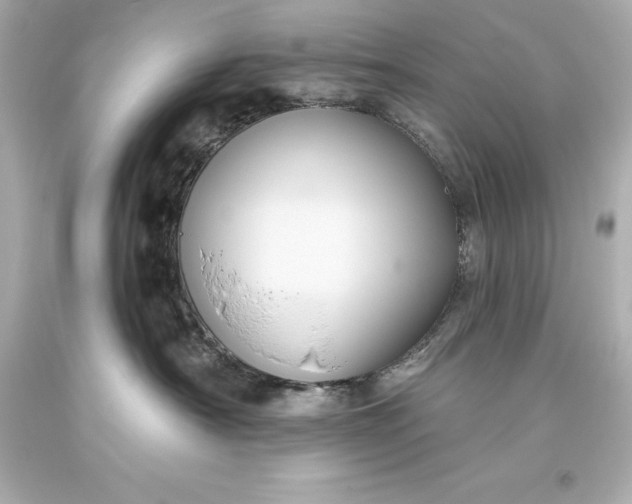 X0000093620430200710291230