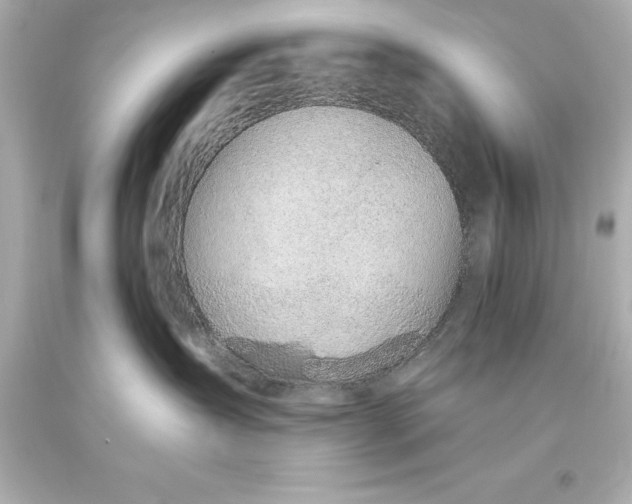 X0000093620431200710291230