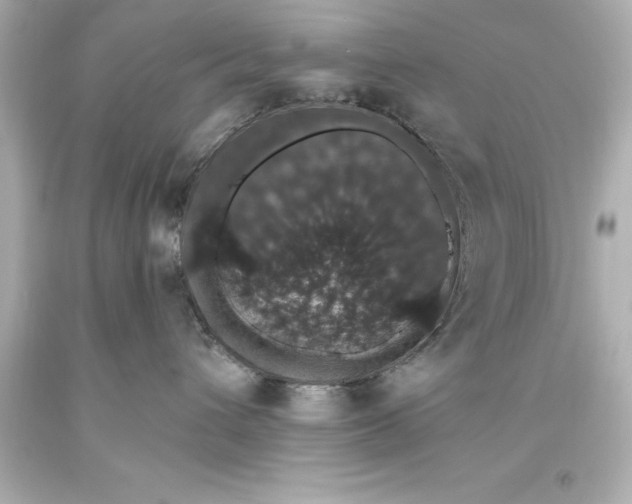 X0000093620432200710291230