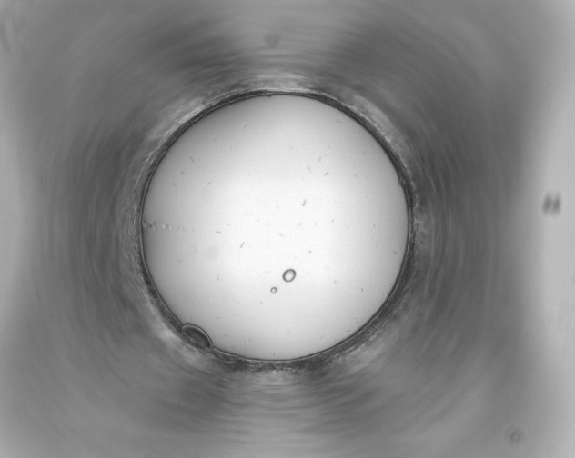 X0000093620433200710291229