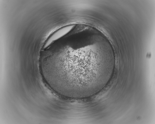 X0000093620434200710291229