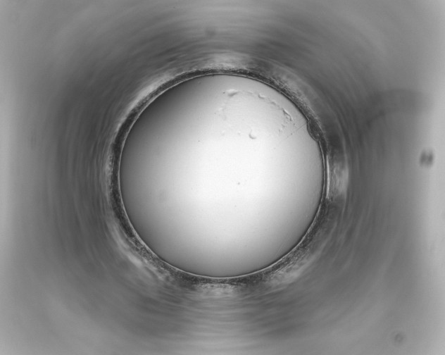 X0000093620435200710291229