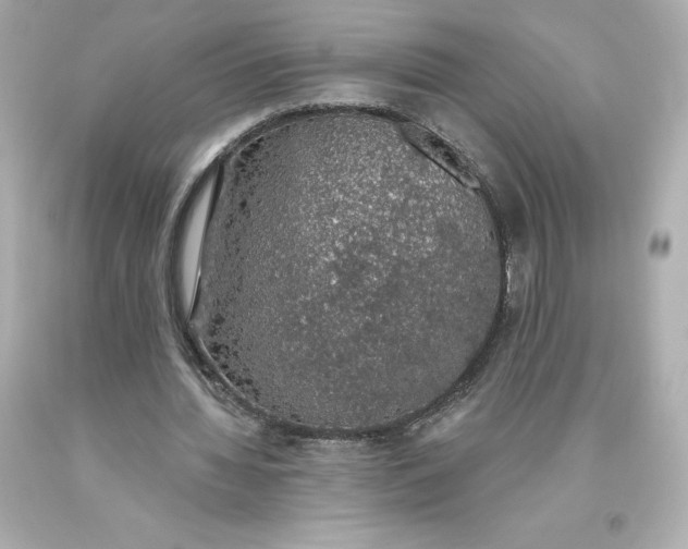 X0000093620436200710291229
