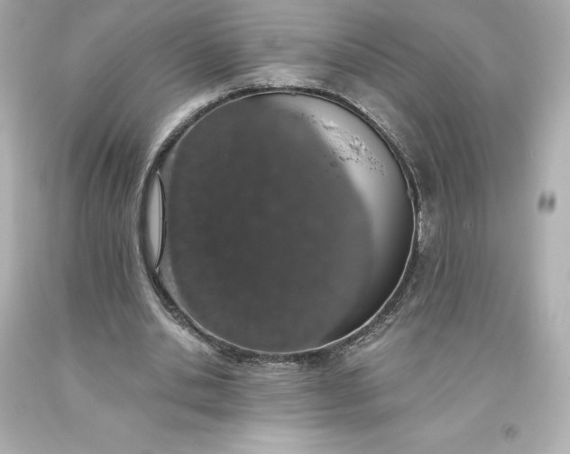 X0000093620438200710291229