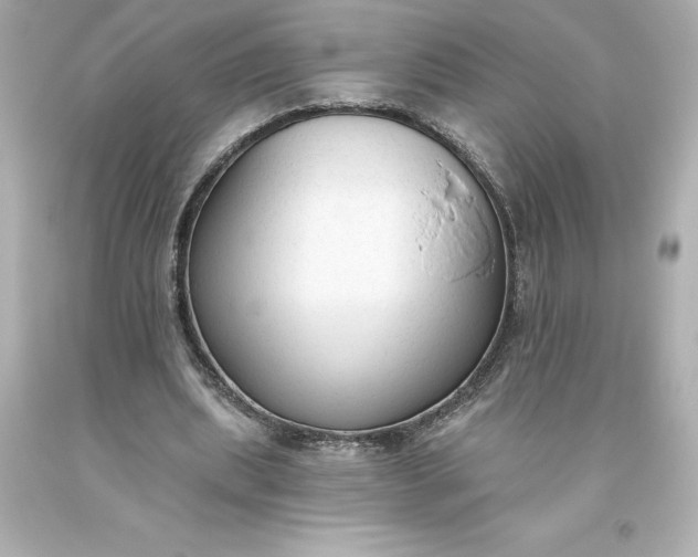 X0000093620439200710291229