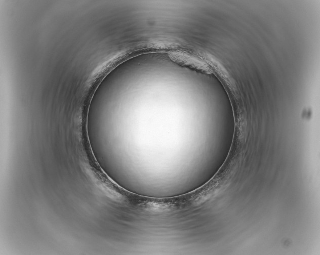 X0000093620442200710291229