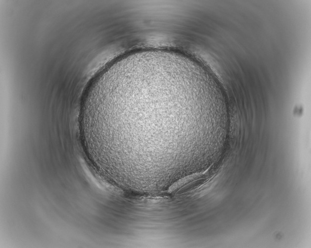 X0000093620443200710291229