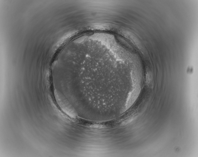 X0000093620444200710291229