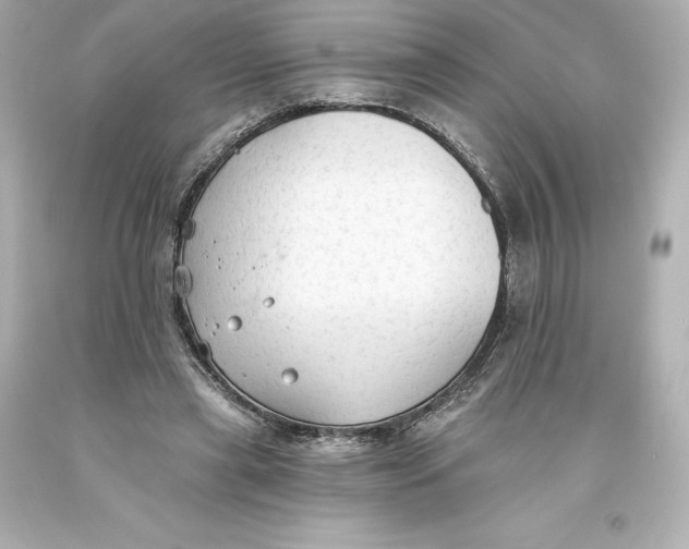 X0000093620445200710291229