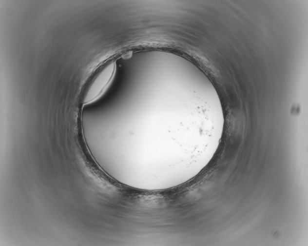 X0000093620446200710291229