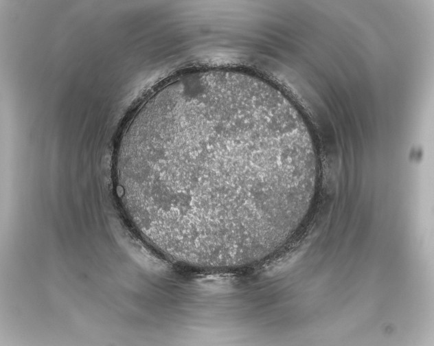 X0000093620447200710291229