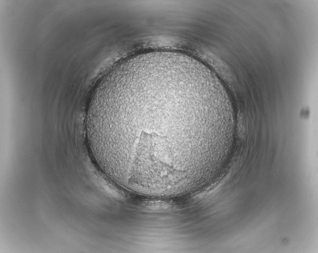 X0000093620449200710291229