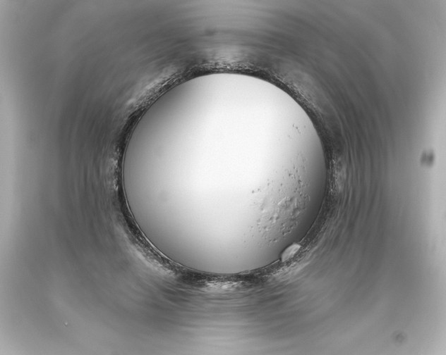 X0000093620450200710291229