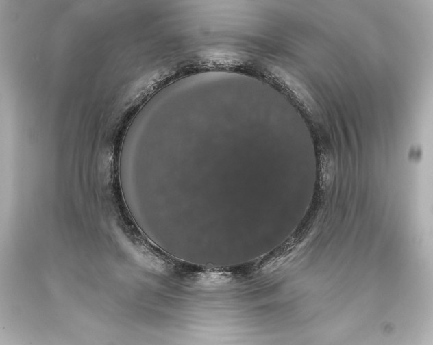 X0000093620451200710291229
