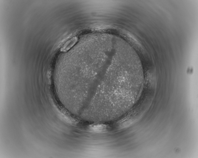 X0000093620452200710291229