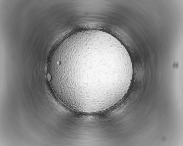 X0000093620453200710291229