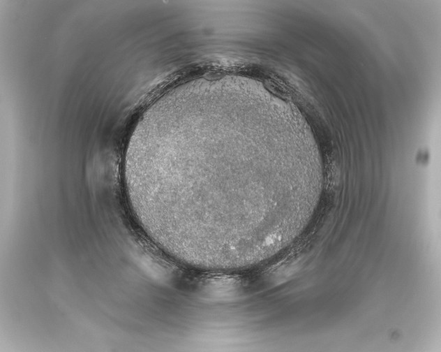 X0000093620456200710291229